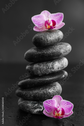 Stack of spa stones and beautiful orchid flowers on dark background