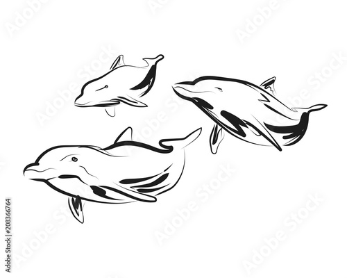 Vector sketch of dolphins