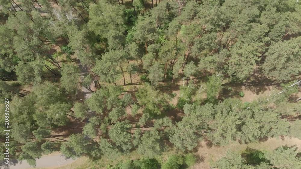 aerial photography. flying over the forest in the park aerial photography. flying over the forest in the park