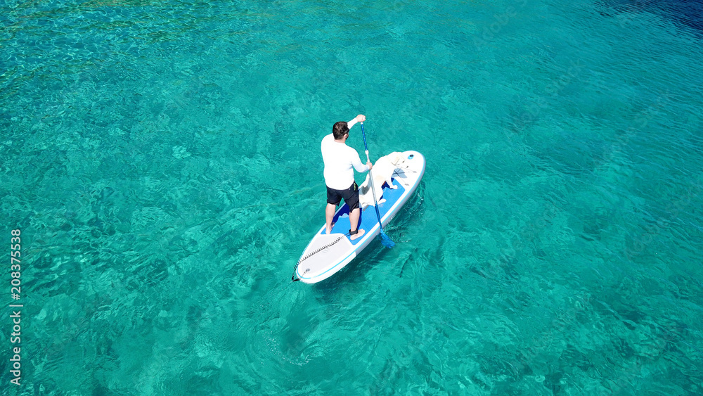 Aerial photo of man sup paddling with his cute dog in caribbean tropical beach with turquoise waters