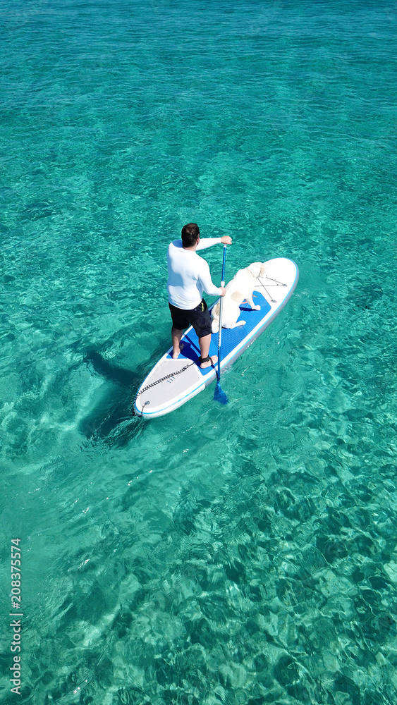 Aerial photo of man sup paddling with his cute dog in caribbean tropical beach with turquoise waters