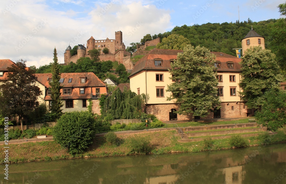 Blick über die Tauber auf Wertheim mit Rathaus und Burg