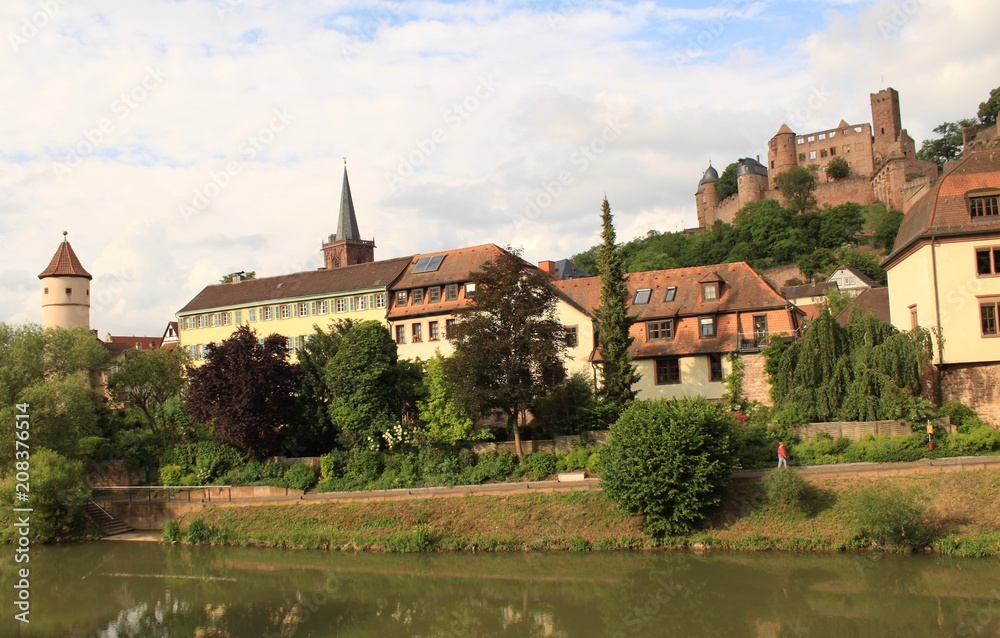 Blick über die Tauber auf Wertheim mit Burg