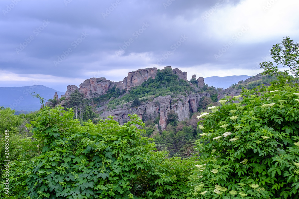 Mountain road to the cave in the greenery Mountain road to the cave in the greenery