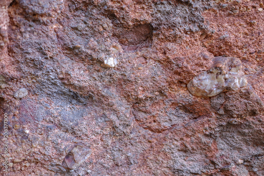 The texture of the rock The texture of the rock