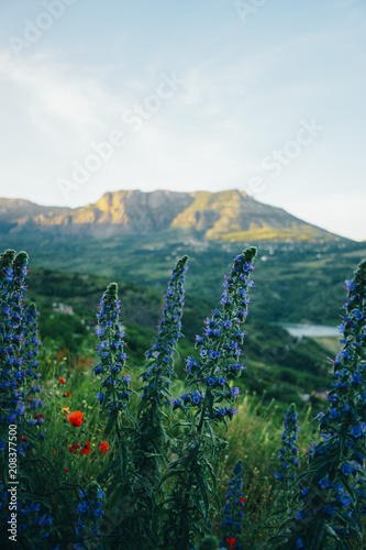 Foto Republic of Crimea