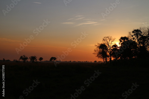 African Sunset