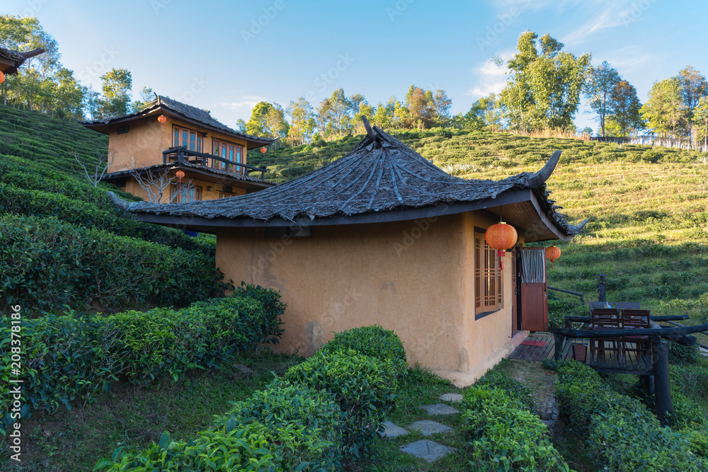 Tea Plantation and hut in Ban Rak Thai. Mae Hong Son, Thailand.