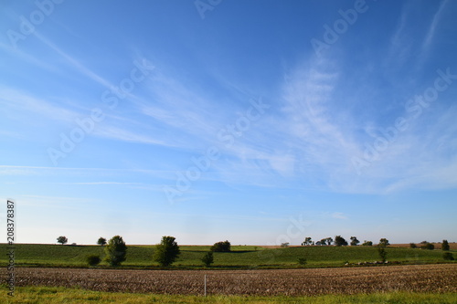 Field and Trees Landscape