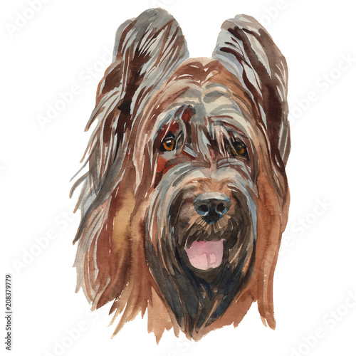 Εκτύπωση καμβά The briard dog watercolor hand painted dog portrait