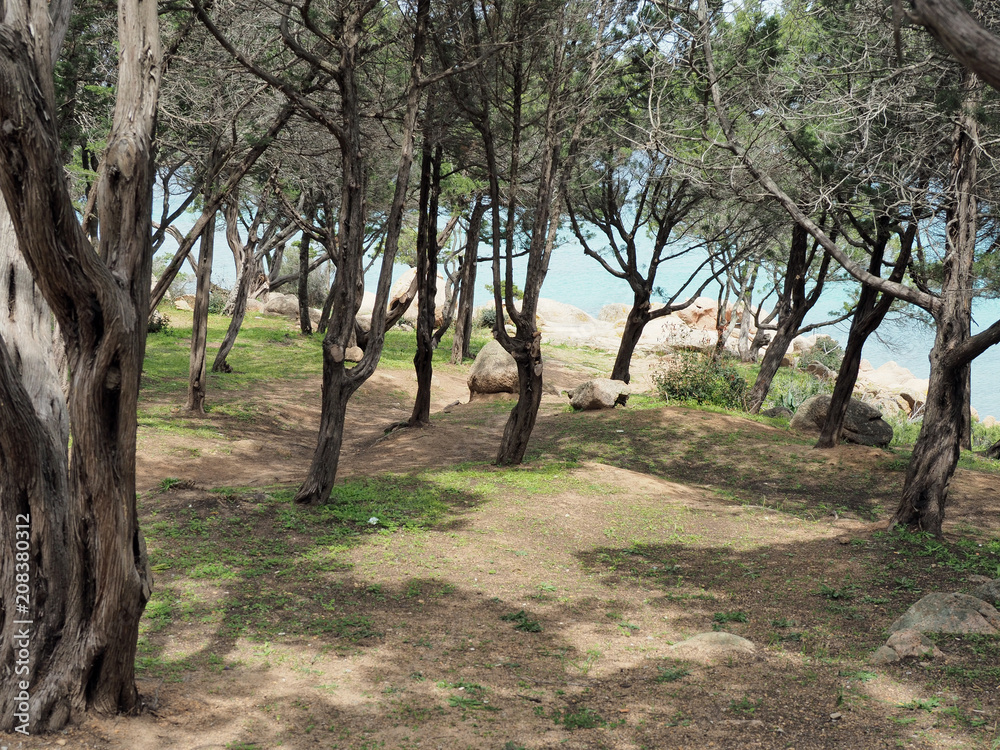 Porto Cervo �?? exklusiver Urlaubsort an der Porto Cervo �?? exklusiver Urlaubsort an der