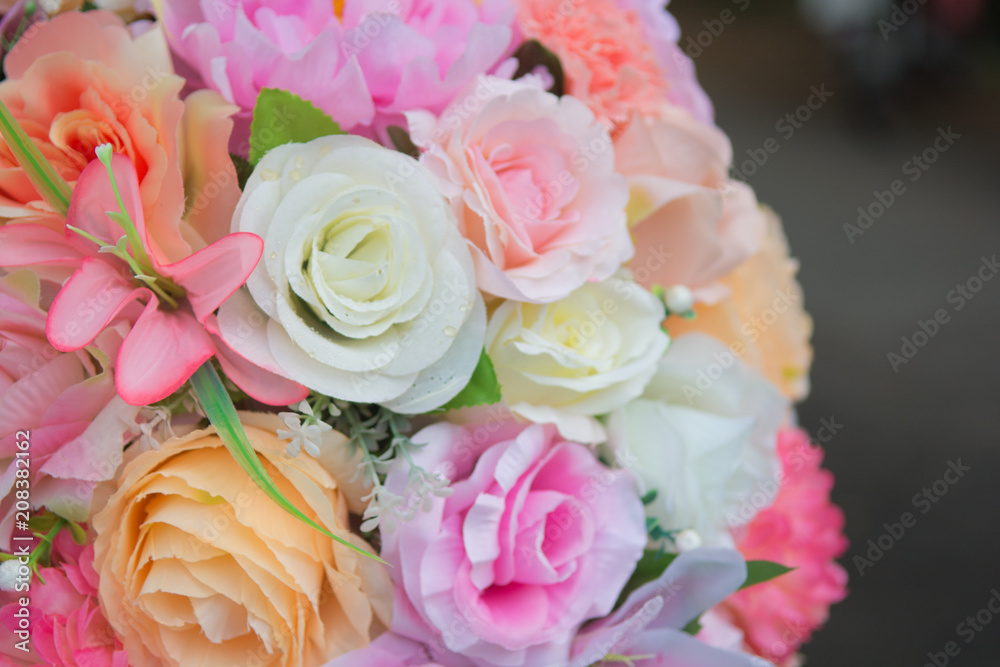 Obraz premium beautiful rose flower 