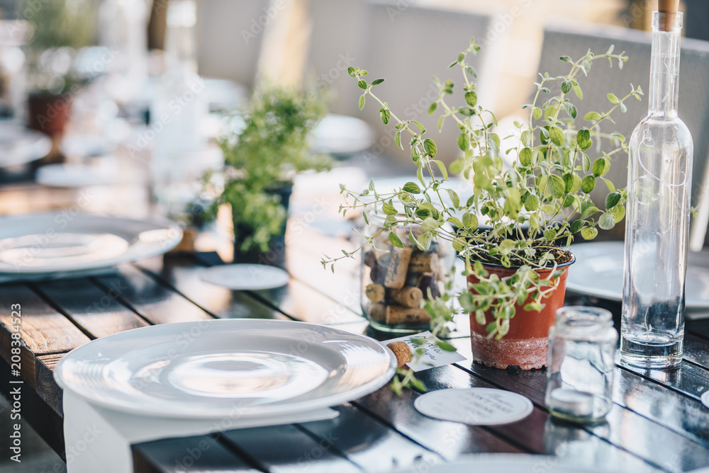 Table decoration for a special occasion - white plates and green plants. Eco/nature  friendly decotarion. 