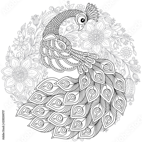 Peacock in zentangle style. Adult antistress coloring page.
