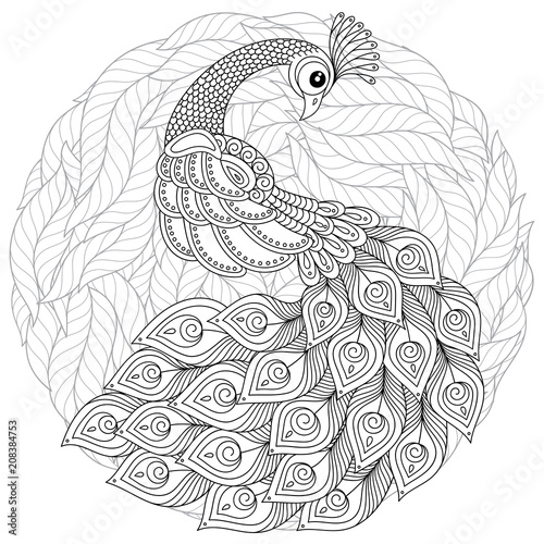 Peacock in zentangle style. Adult antistress coloring page.