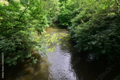 The river mole on a summers day at Dorking in Surrey.