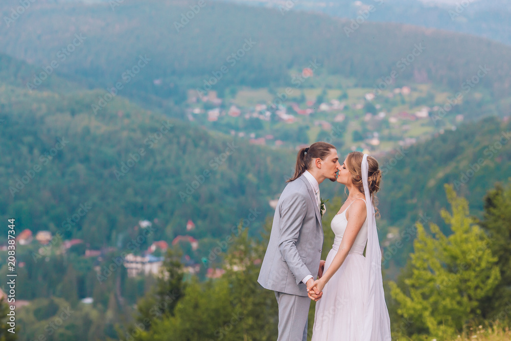 Kissing wedding couple staying over beautiful landscape. Bride and groom staying in the mountains in wedding white elegance dress and dark costume on stones and grass. Kissing wedding couple staying over beautiful landscape. Bride and groom staying in the mountains in wedding white elegance dress and dark costume on stones and grass.
