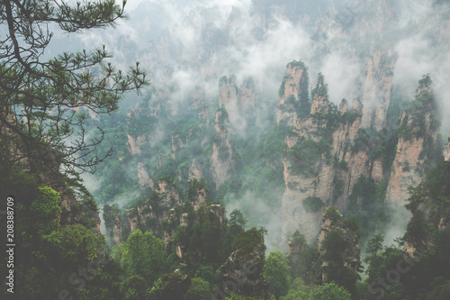 Zhangjiajie Forest Park. Gigantic pillar mountains rising from the canyon. Hunan province, China. © Curioso.Photography