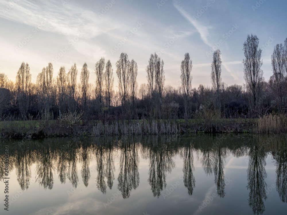 Obraz premium Evening at Parco Nord, Milan