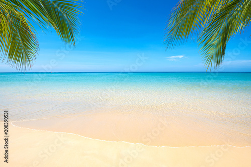 Sea view tropical beach with sunny sky. © satit