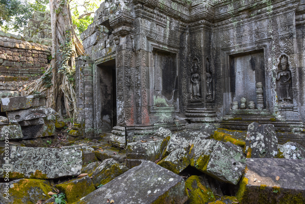 Ta Prohm temple at Angkor Wat complex, Siem Reap, Cambodia Ta Prohm temple at Angkor Wat complex, Siem Reap, Cambodia
