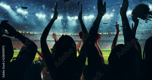 Fans cheering for sports team photo