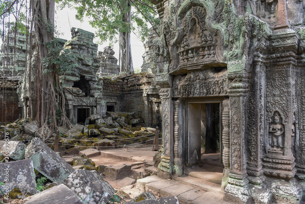 Fototapeta premium Ta Prohm temple at Angkor Wat complex, Siem Reap, Cambodia