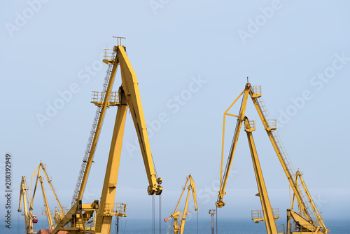 Cranes in seaport