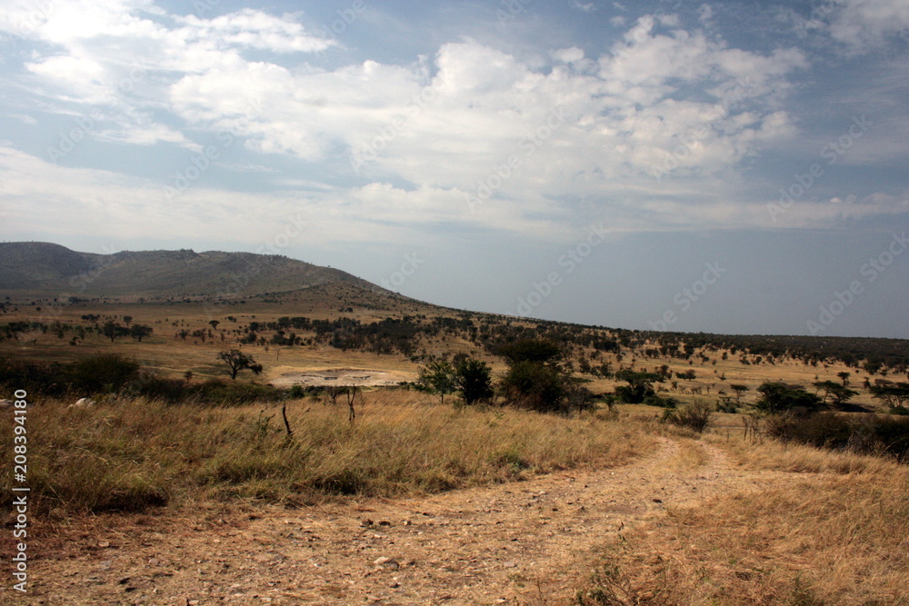 Serengeti Dune