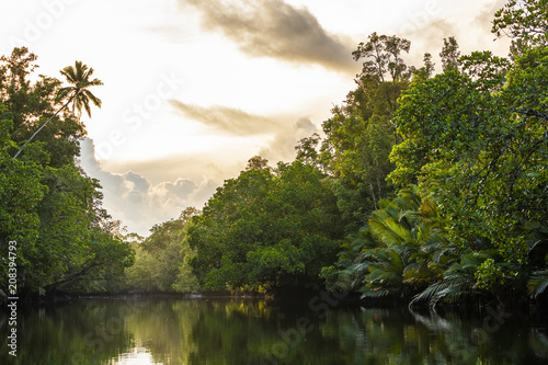 Bright sunrise in Papua