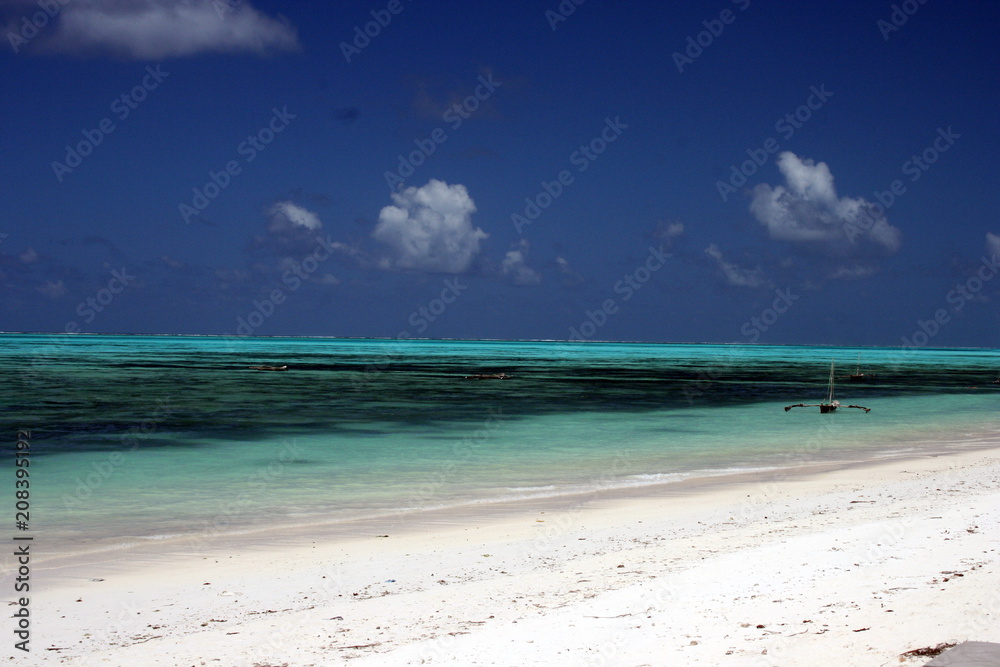 Zanzibar Coastline