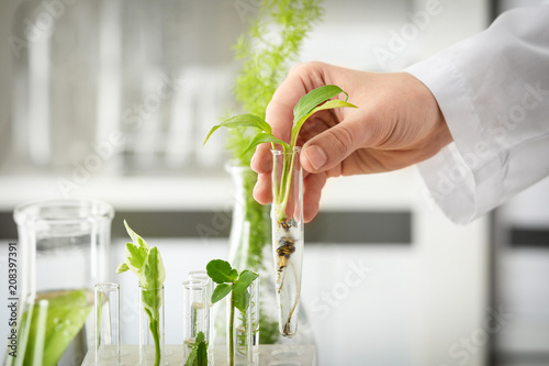 Lab worker holding test tub...