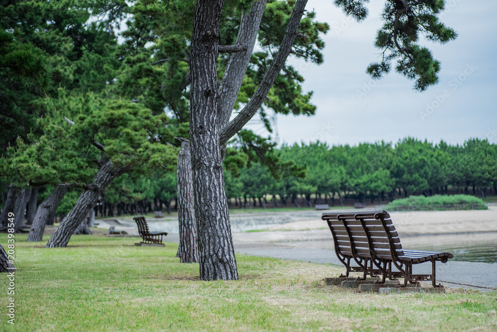 高砂市東播磨港・向島公園の風景