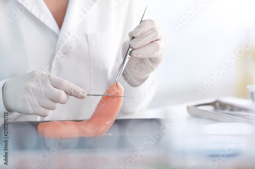 Scientist examining meat sample in laboratory