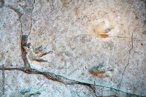 Dinosaur footprints in Sataplia cave, Georgia (Europe), Caucasus photo
