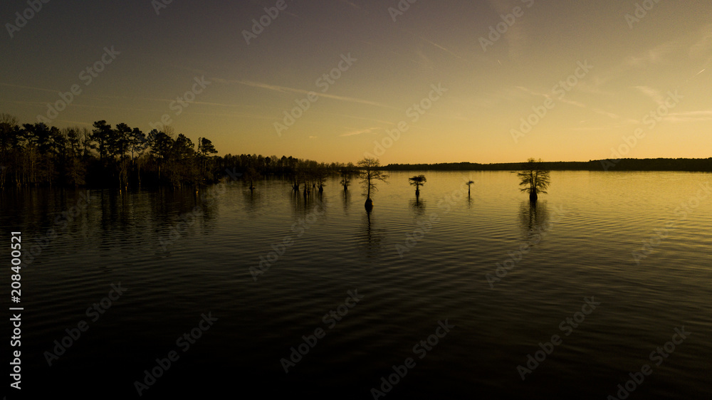 Cypress Trees at Sunset Cypress Trees at Sunset