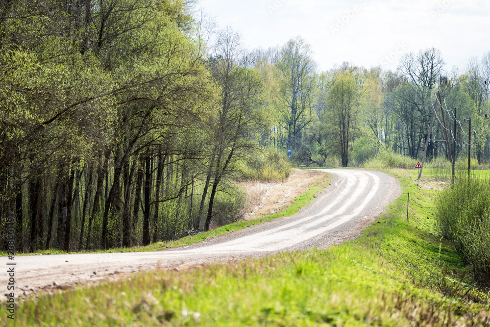 Fototapeta premium empty gravel road in the countryside in summer heat