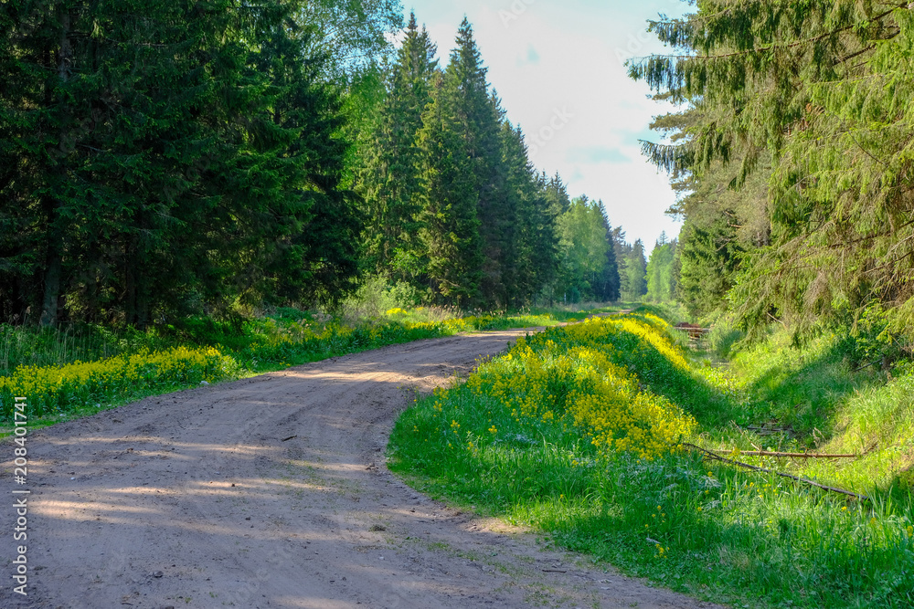 empty gravel road in the countryside in summer heat empty gravel road in the countryside in summer heat