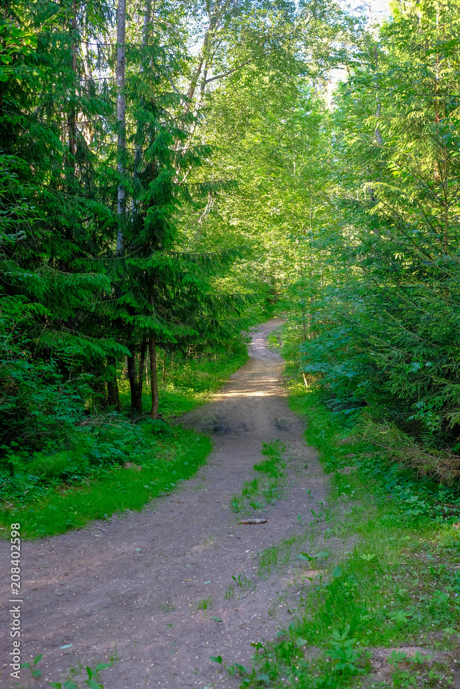 empty gravel road in the countryside in summer heat