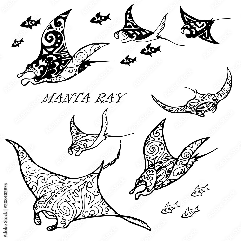 Manta ray and fish in the sea ,black and white stylized vector ...