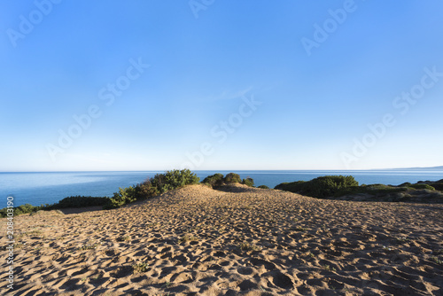 Sand dunes with myrtle vegetation in front of blue ocean and blue sky - green coast "Costa Verde", Scivu, Sardinia, Italy