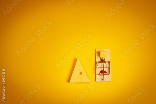 yellow background with a mousetrap and a large piece of tasty cheese