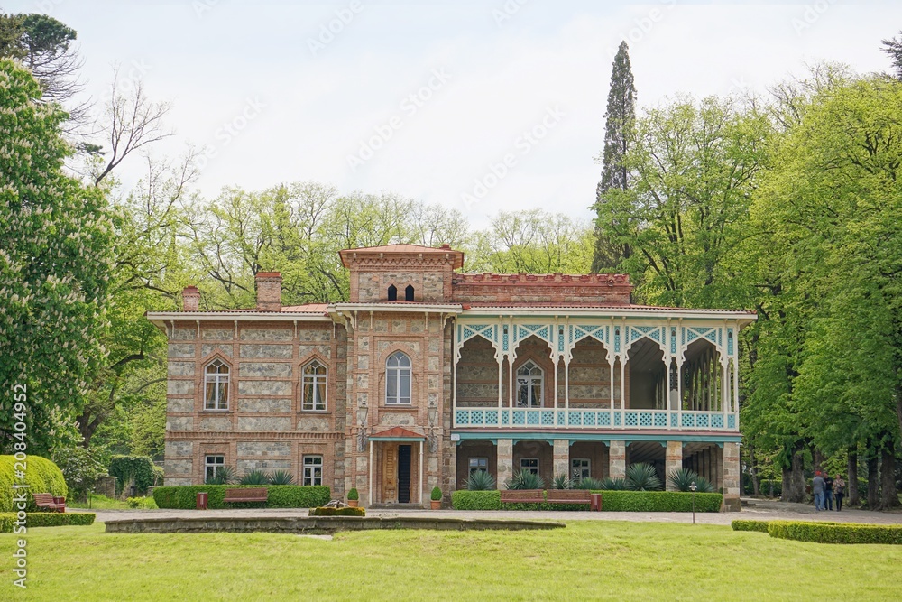 Spring view of Tsinandali Palace with blossoming chestnut tree, Kakheti, Georgia (Europe), Caucasus
