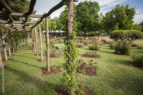 Garden of Cervantes  Rose garden in Les Corts district of Barcelona Spain.