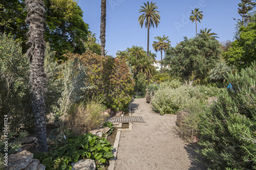 Botanical garden of Valencia. Spain.