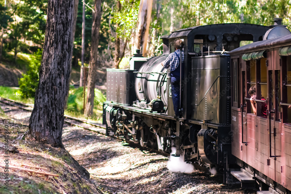 Fototapeta premium Train Ride
