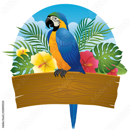 blue and gold macaw sit on wooden banner