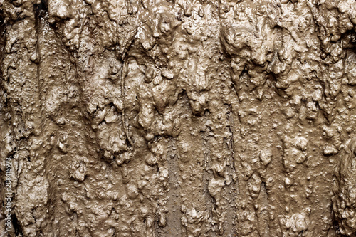 Фототапет Wet mud