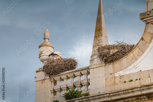stork nest built on the arch of the city of faro