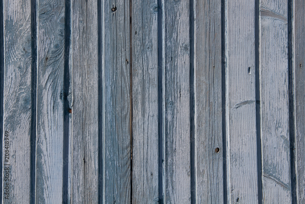 Fototapeta premium Texture of a wooden blue old wall. Texture of an old fence